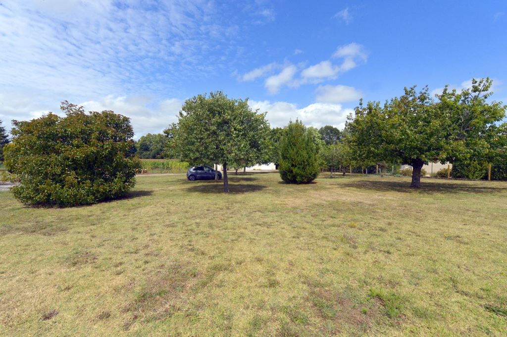 Terrain THAIMS 55000€ Agence de L'Estuaire Terrain THAIMS 55000€ Agence de L'Estuaire