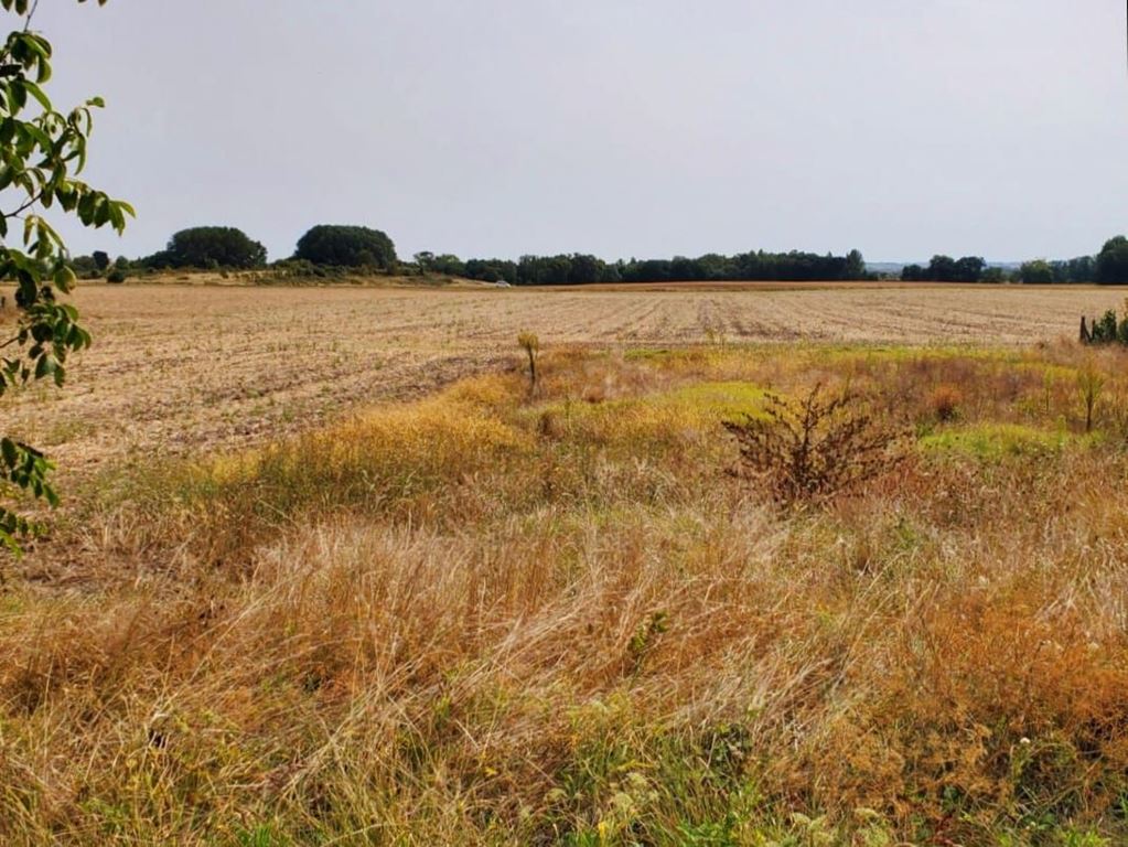 Terrain MESCHERS SUR GIRONDE 98000€ Agence de L'Estuaire Terrain MESCHERS SUR GIRONDE 98000€ Agence de L'Estuaire