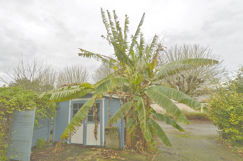 Maison SEMUSSAC (17120) Agence de L Maison SEMUSSAC (17120) Agence de L