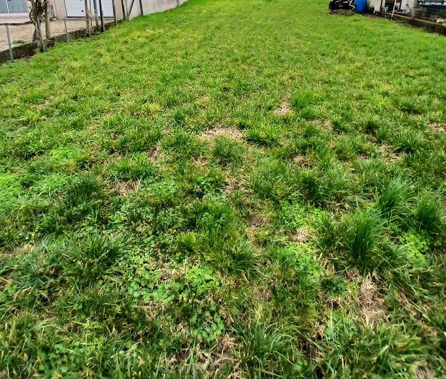 Terrain MESCHERS SUR GIRONDE 70000€ Agence de L'Estuaire