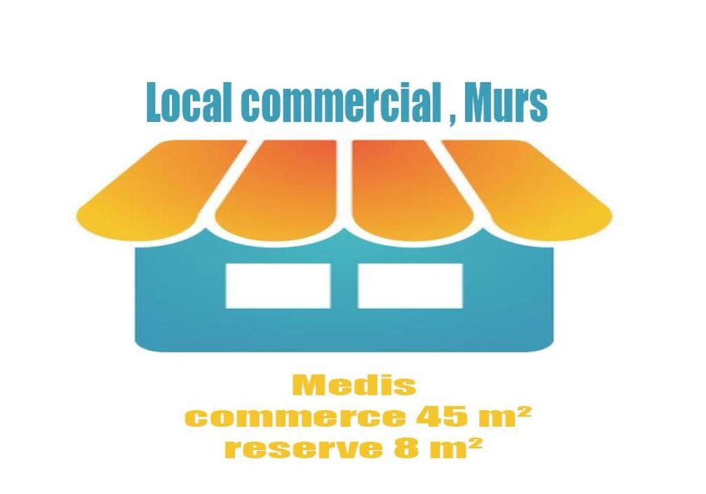 Appartement Murs commerciaux MEDIS 88000€ Agence de L'Estuaire Appartement Murs commerciaux MEDIS 88000€ Agence de L'Estuaire